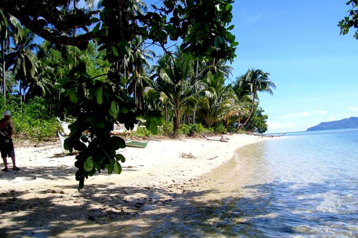 Land for Sale in Caruray, San Vicente, Palawan – photo 6