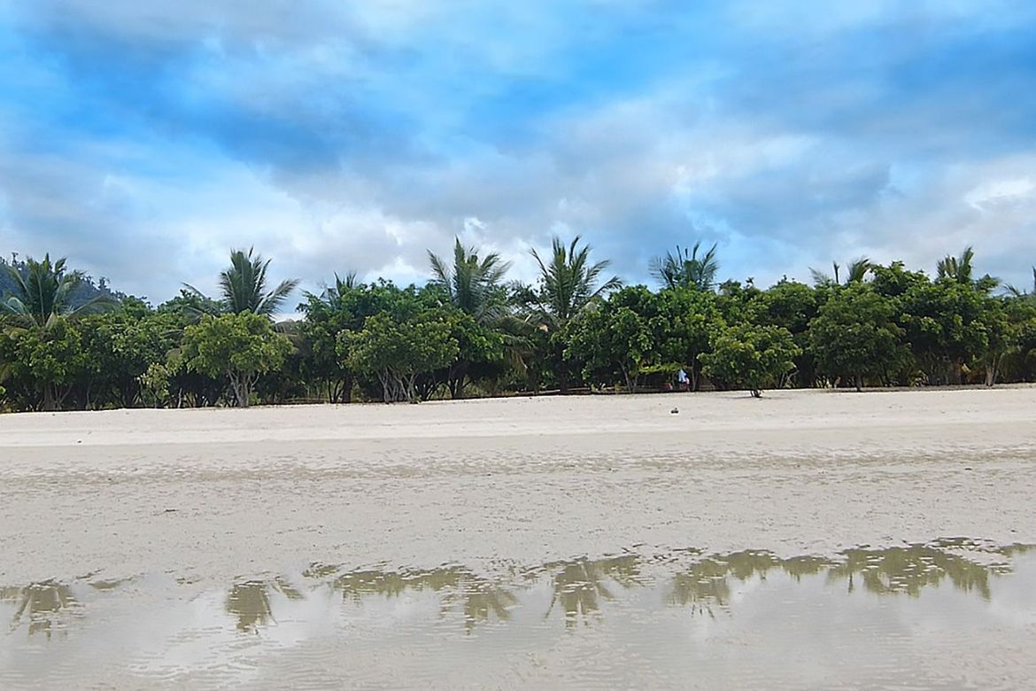Land for Sale in Caruray, San Vicente, Palawan – photo 5