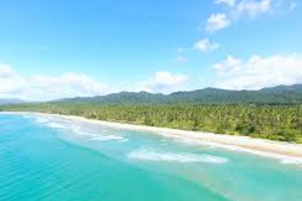 Land for Sale in Caruray, San Vicente, Palawan – photo 2