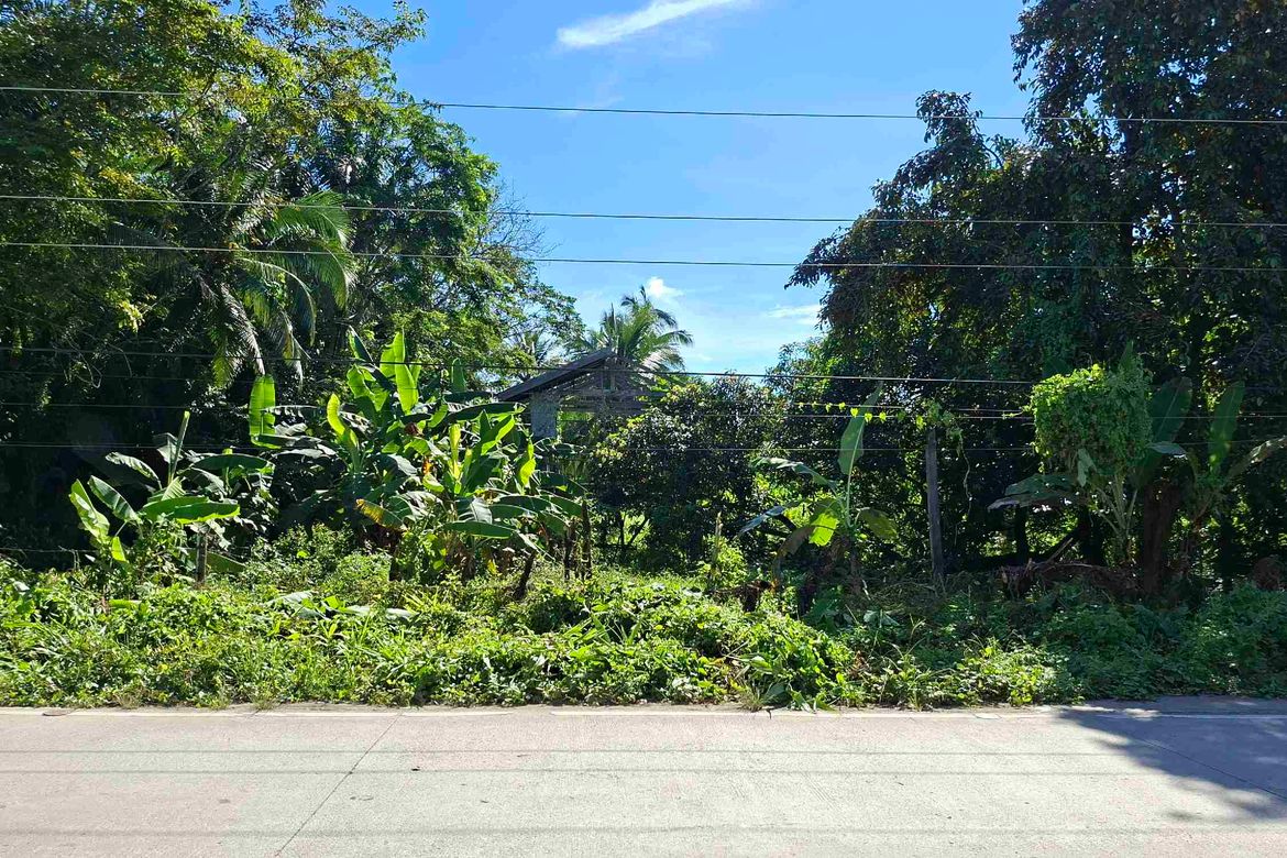 Land for Sale in Caruray, San Vicente, Palawan – photo 2