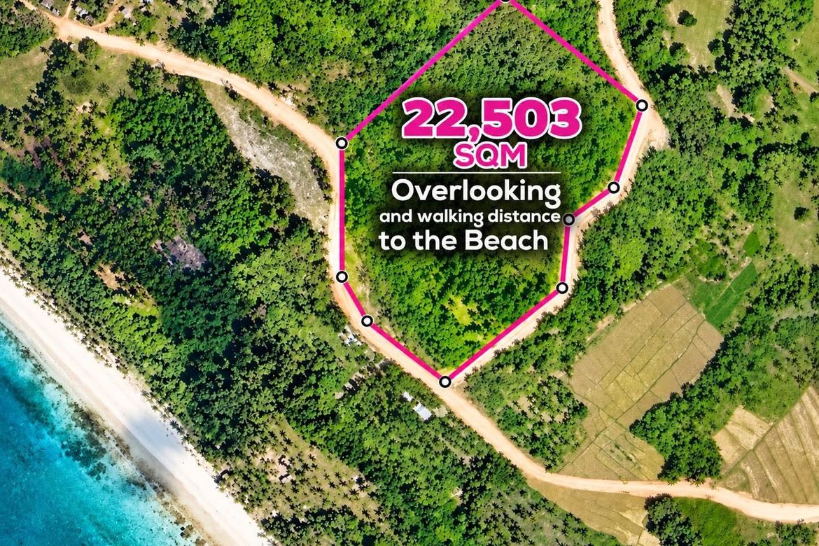 Land for Sale in Caruray, San Vicente, Palawan – photo 2
