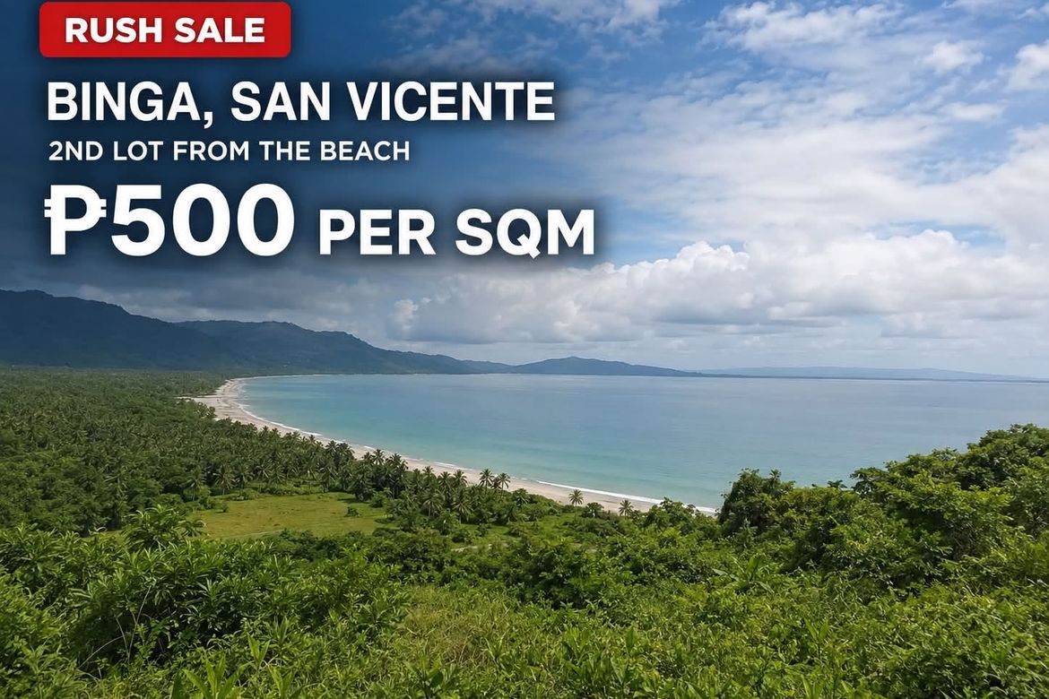 Land for Sale in Caruray, San Vicente, Palawan – photo 3