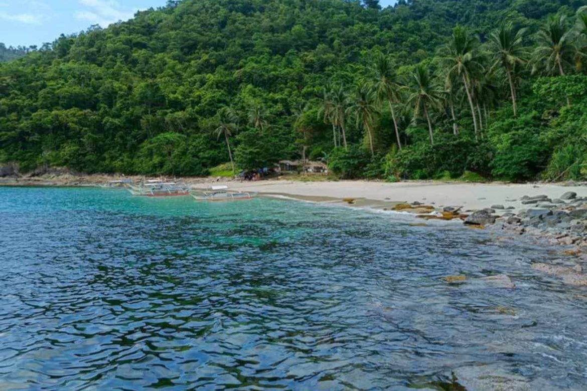 Land for Sale in Caruray, San Vicente, Palawan