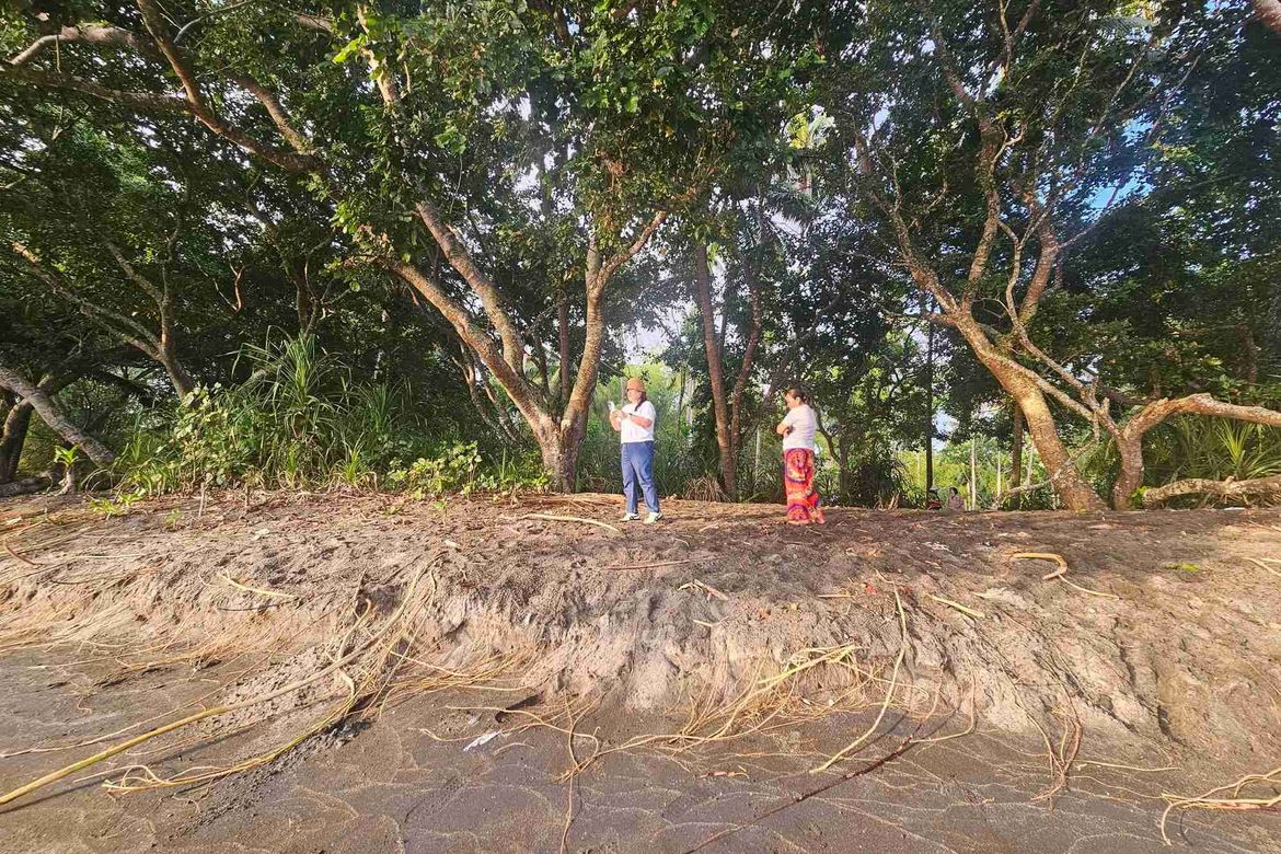 Land for Sale in Casala-An, Siaton, Negros Oriental