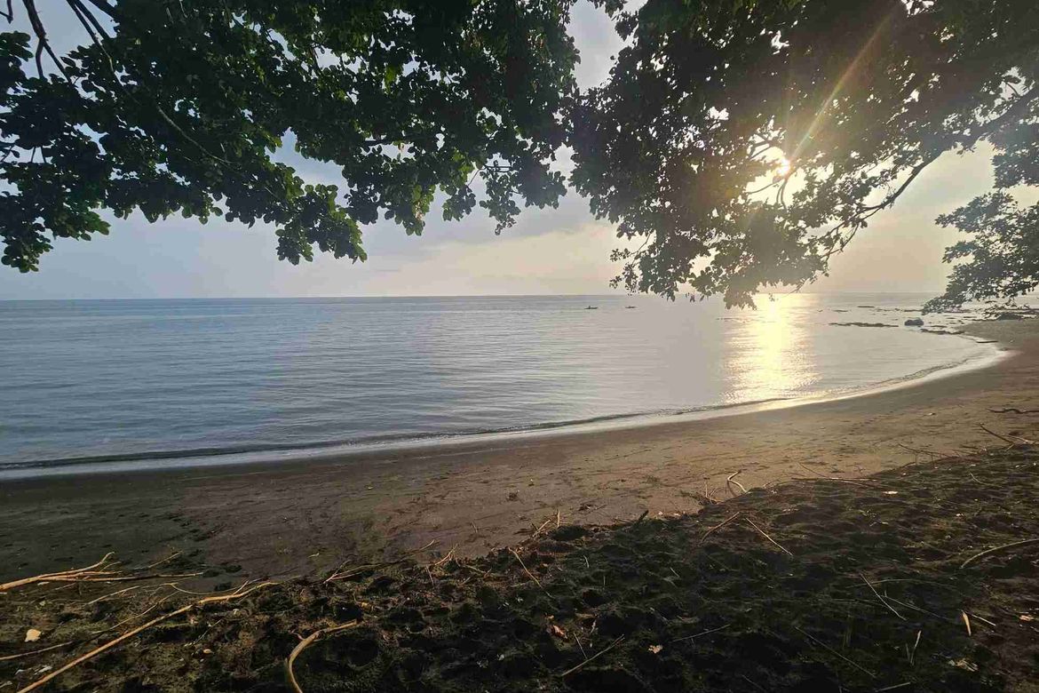 Land for Sale in Casala-An, Siaton, Negros Oriental – photo 3
