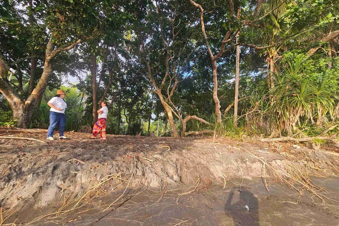 Land for Sale in Casala-An, Siaton, Negros Oriental – photo 5