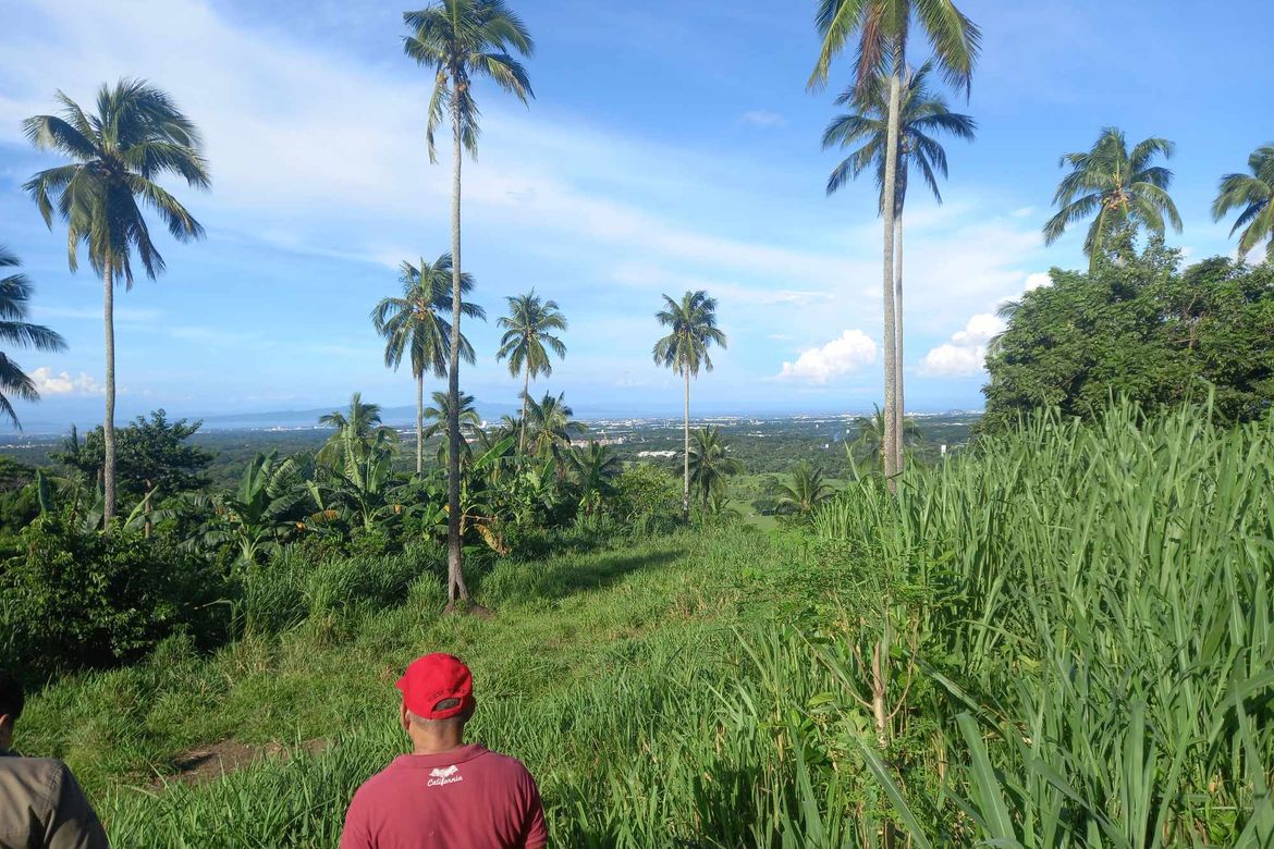 Land for Sale in Casile, Cabuyao, Laguna