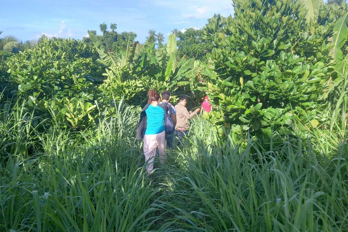 Land for Sale in Casile, Cabuyao, Laguna – photo 2