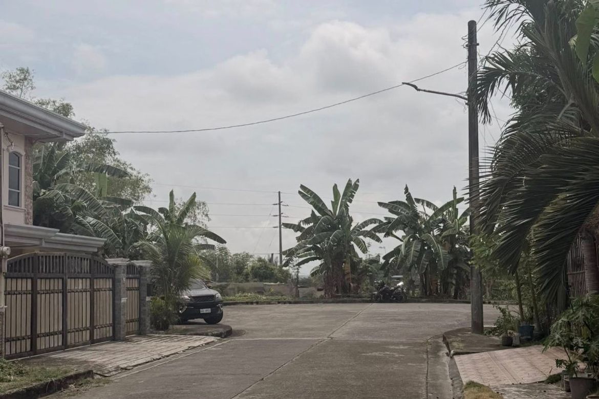 Land for Sale in Casili, Consolacion, Cebu – photo 4