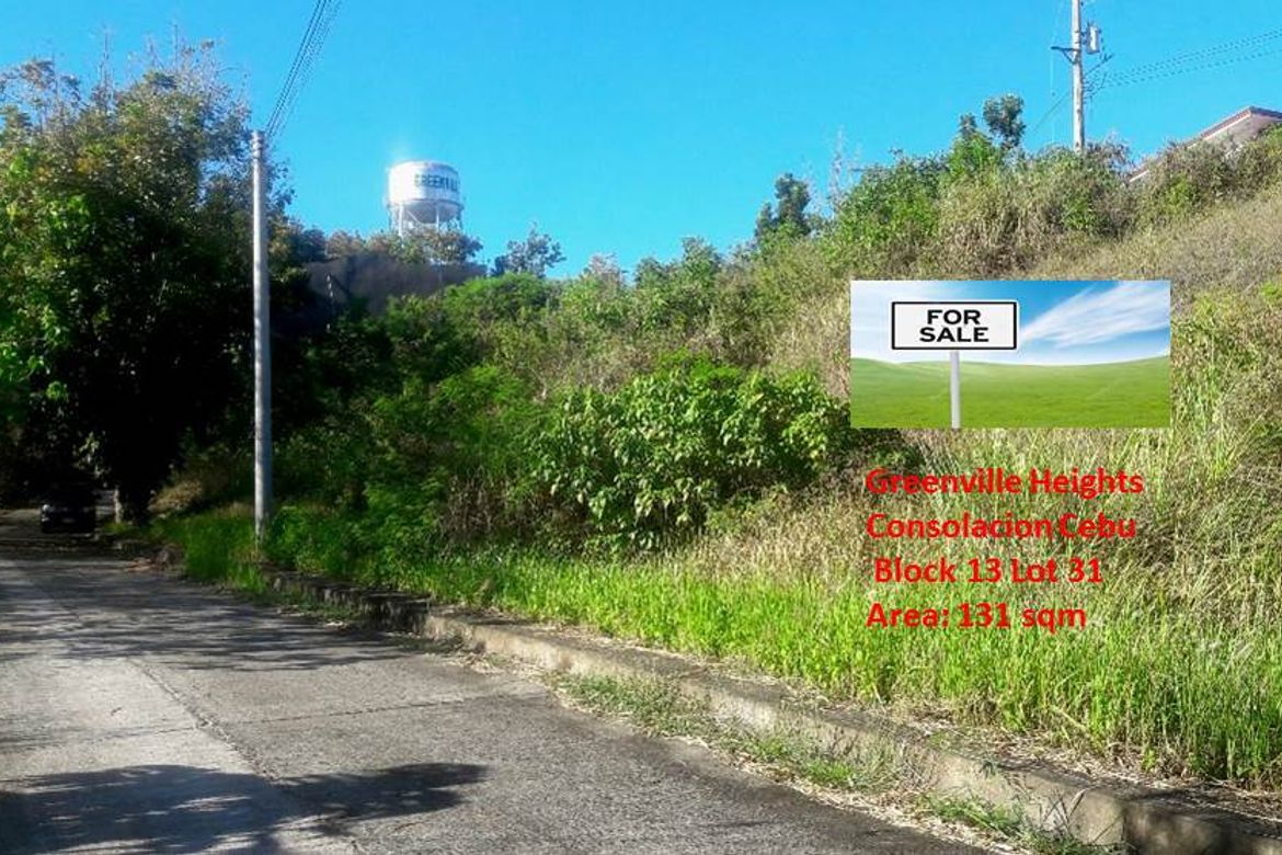 Land for Sale in Casili, Consolacion, Cebu