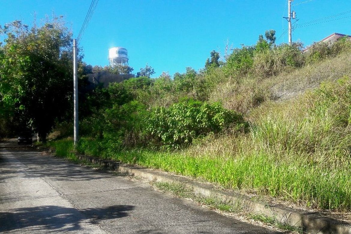Land for Sale in Casili, Consolacion, Cebu – photo 2