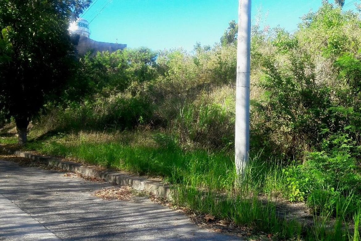 Land for Sale in Casili, Consolacion, Cebu – photo 3