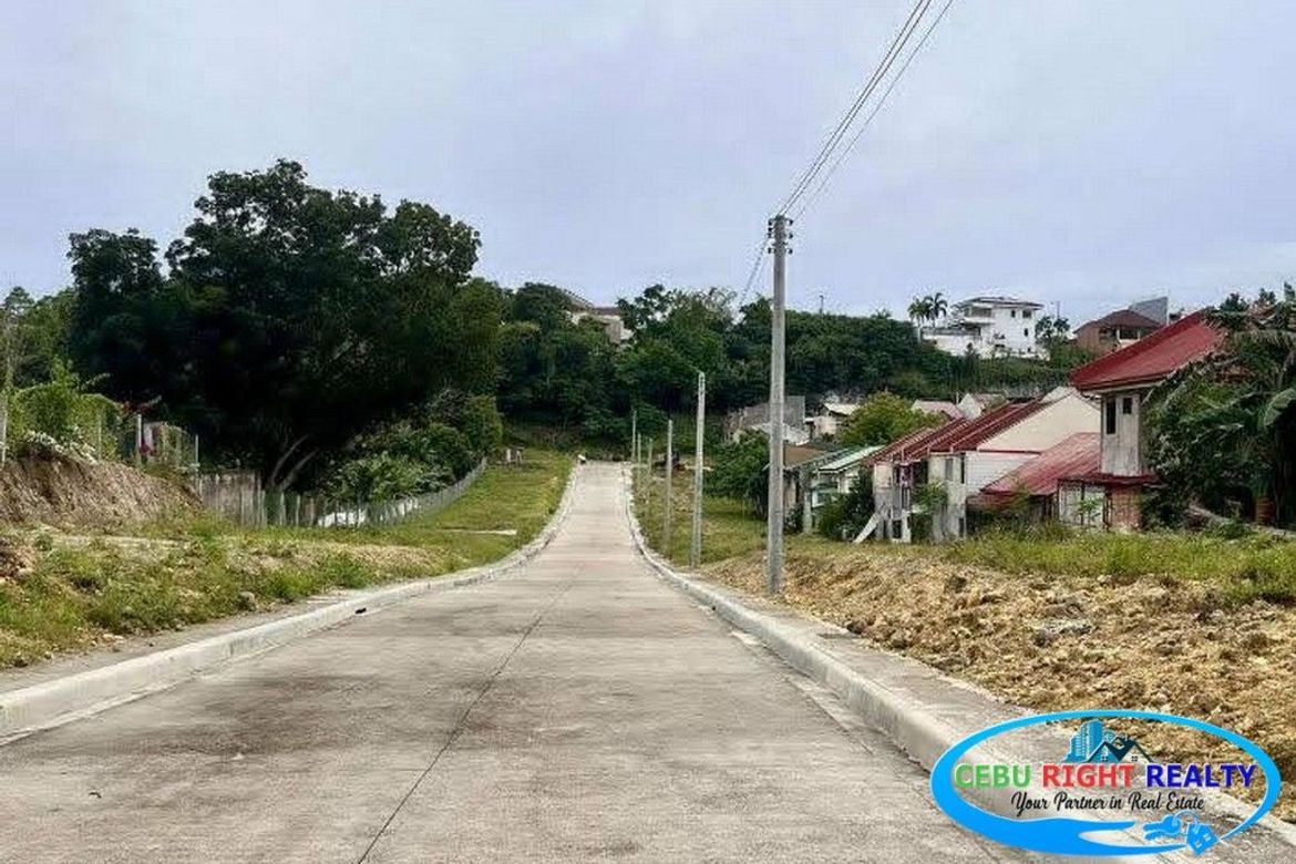 Land for Sale in Casili, Mandaue, Cebu – photo 2