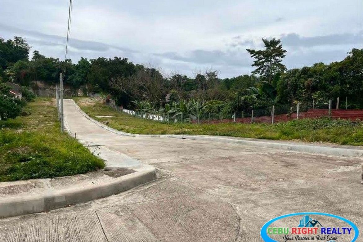 Land for Sale in Casili, Mandaue, Cebu – photo 5