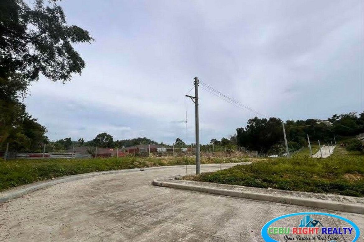 Land for Sale in Casili, Mandaue, Cebu – photo 7