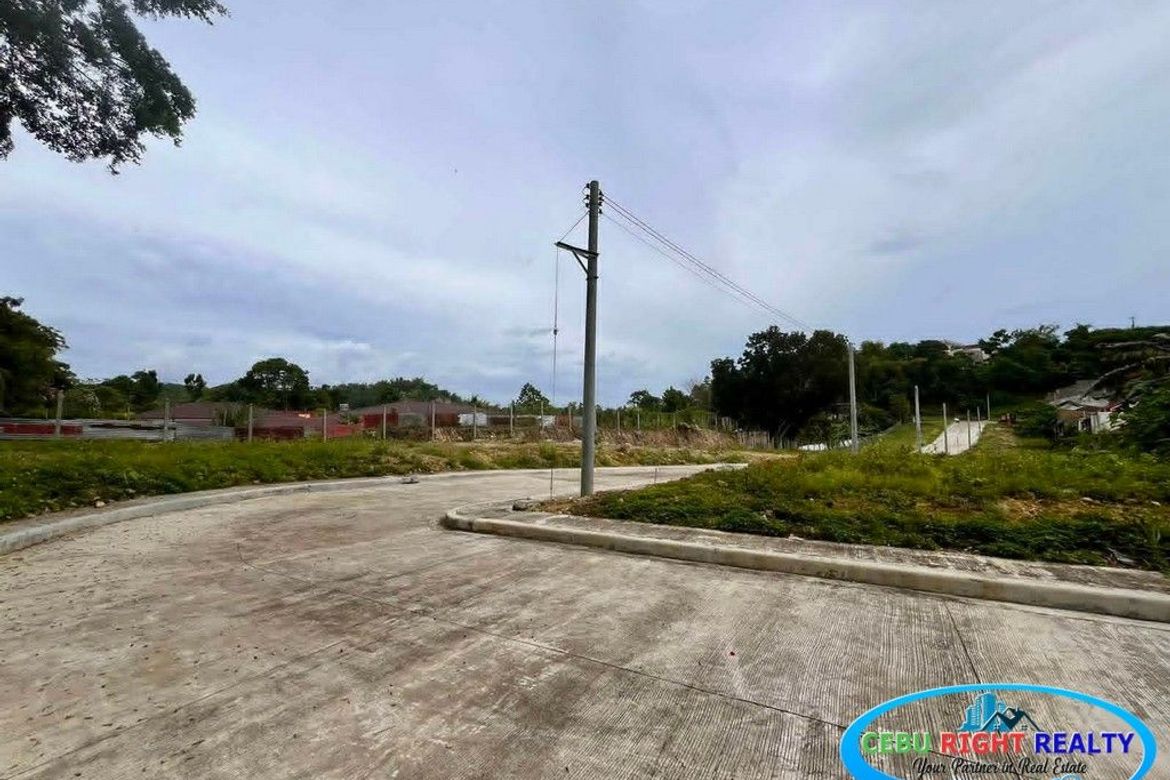 Land for Sale in Casili, Mandaue, Cebu – photo 8