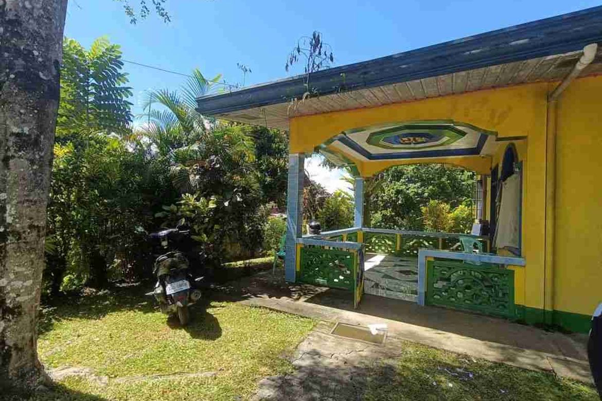 Land for Sale in Casisang, Malaybalay, Bukidnon – photo 2