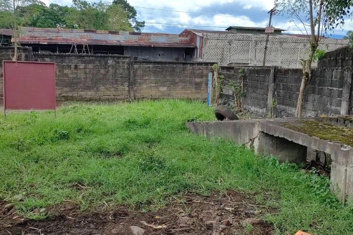 Land for Sale in Casisang, Malaybalay, Bukidnon – photo 4