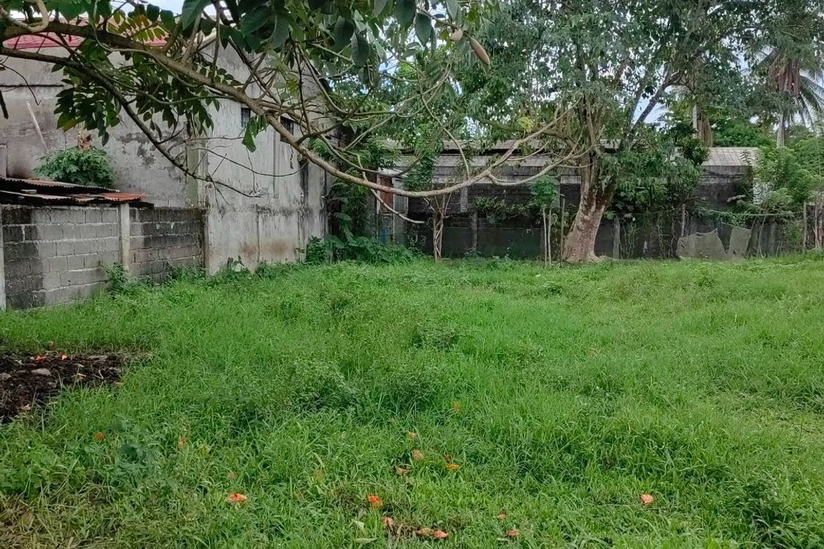Land for Sale in Casisang, Malaybalay, Bukidnon – photo 6
