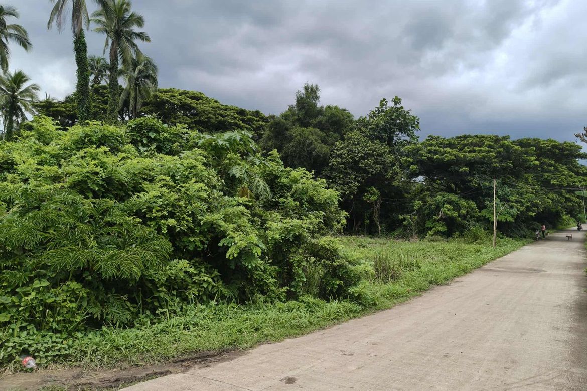 Land for Sale in Castillo, Padre Garcia, Batangas