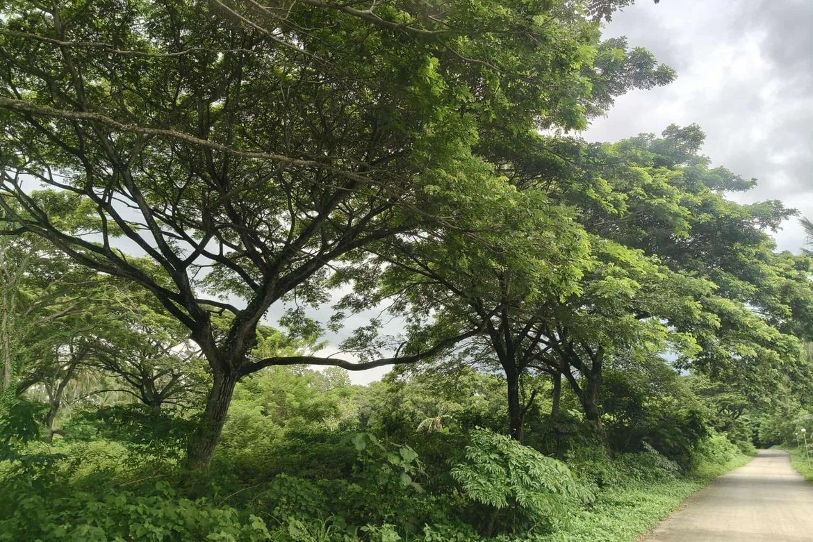 Land for Sale in Castillo, Padre Garcia, Batangas – photo 4