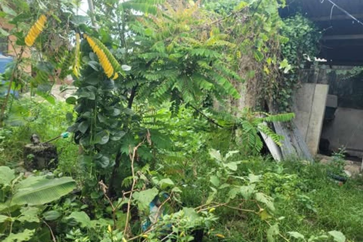 Land for Sale in Casuntingan, Mandaue, Cebu – photo 8