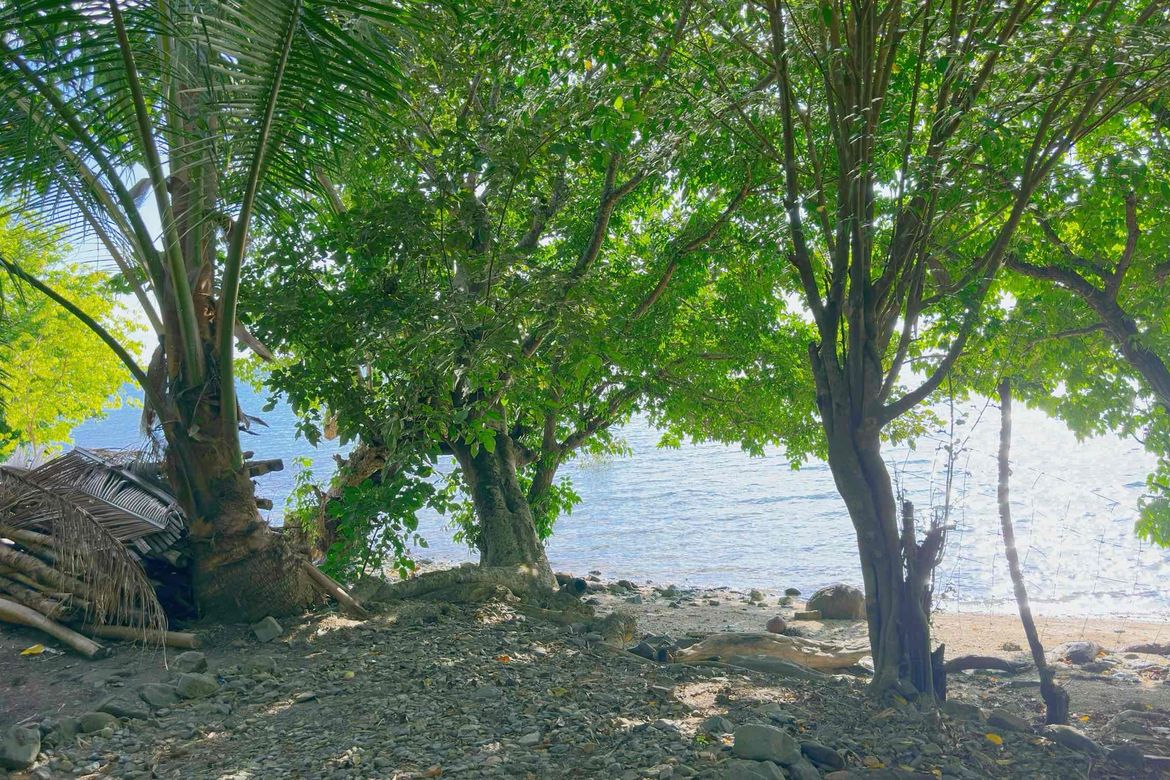 Land for Sale in Catabangan Proper, Ragay, Camarines Sur – photo 2