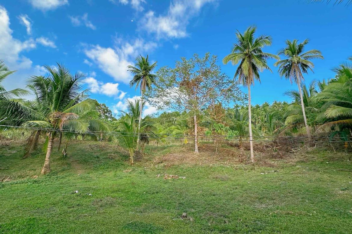 Land for Sale in Catabangan Proper, Ragay, Camarines Sur – photo 7