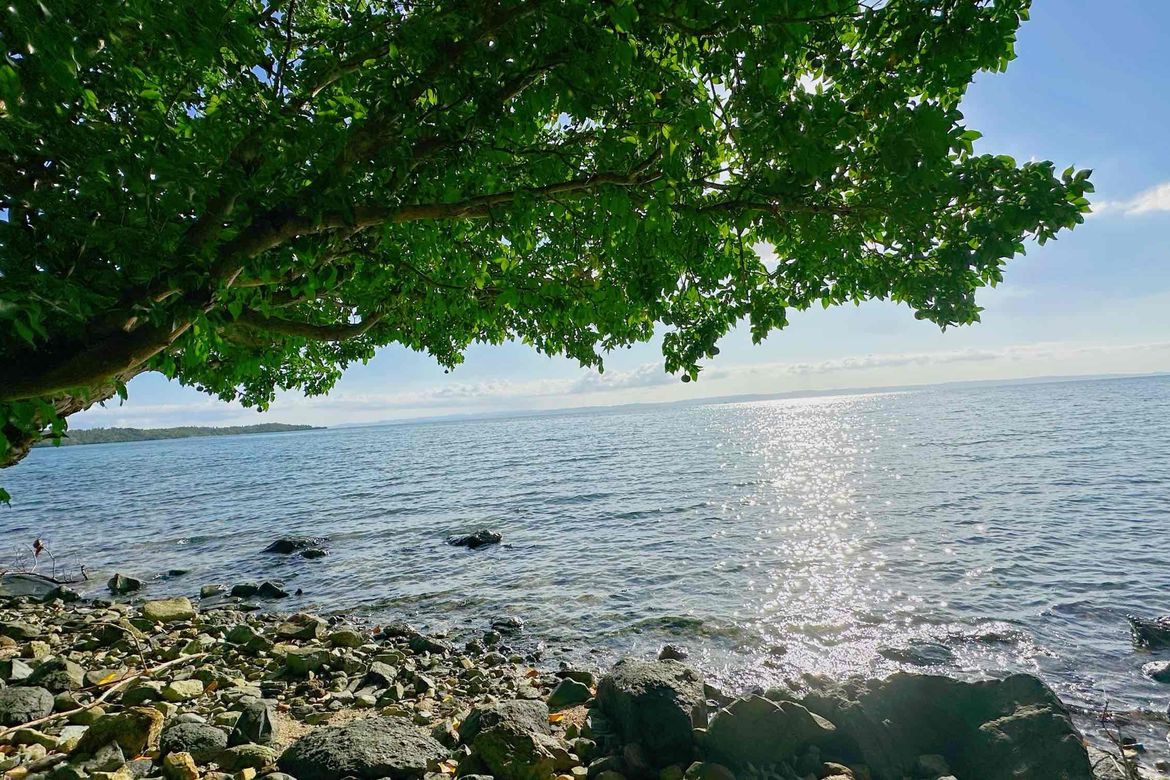 Land for Sale in Catabangan Proper, Ragay, Camarines Sur – photo 8