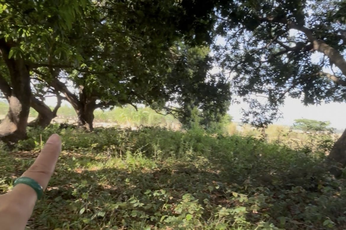 Land for Sale in Catablan, Urdaneta, Pangasinan – photo 6