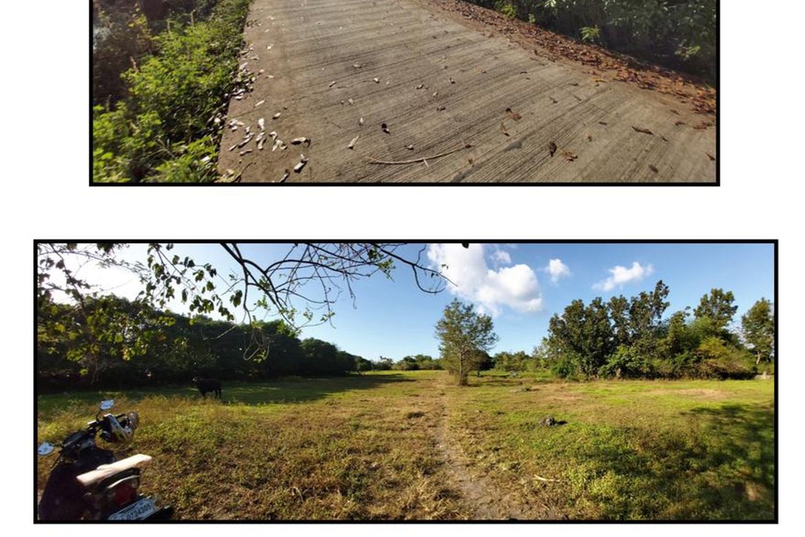 Land for Sale in Catacte, Bustos, Bulacan