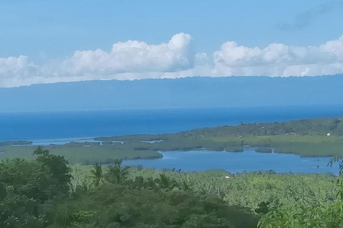 Land for Sale in Catagbacan Sur, Loon, Bohol