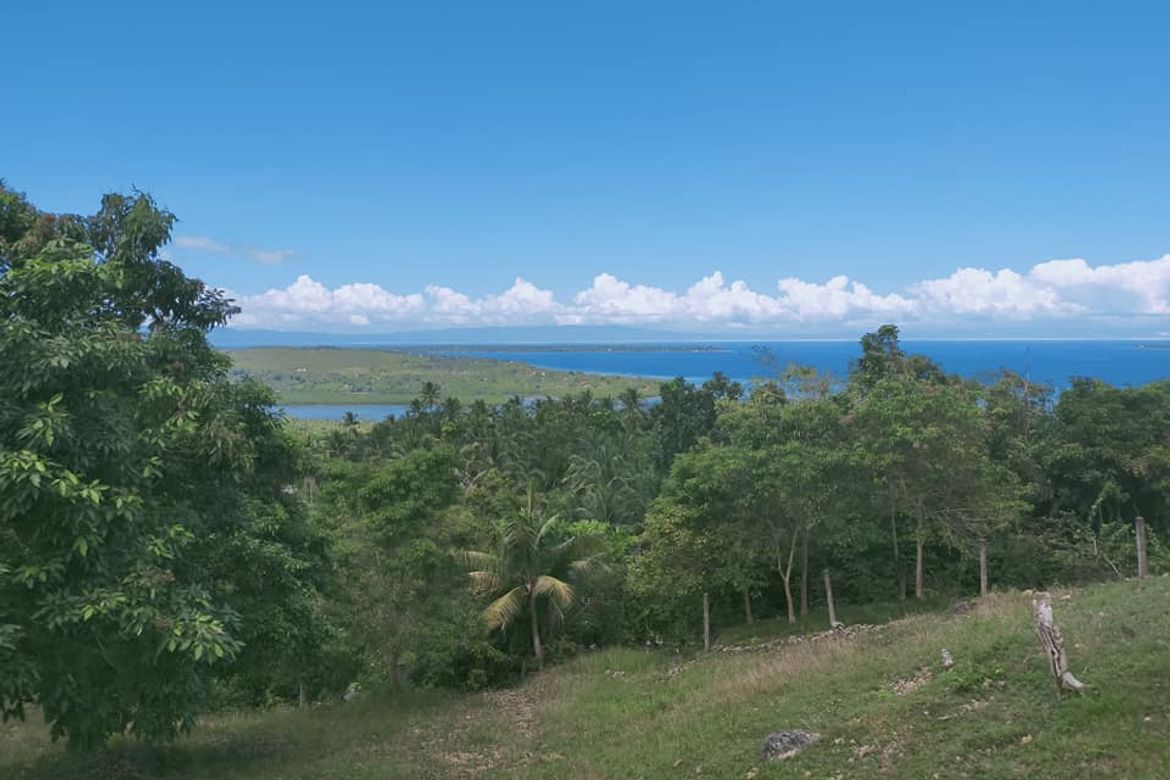 Land for Sale in Catagbacan Sur, Loon, Bohol – photo 4