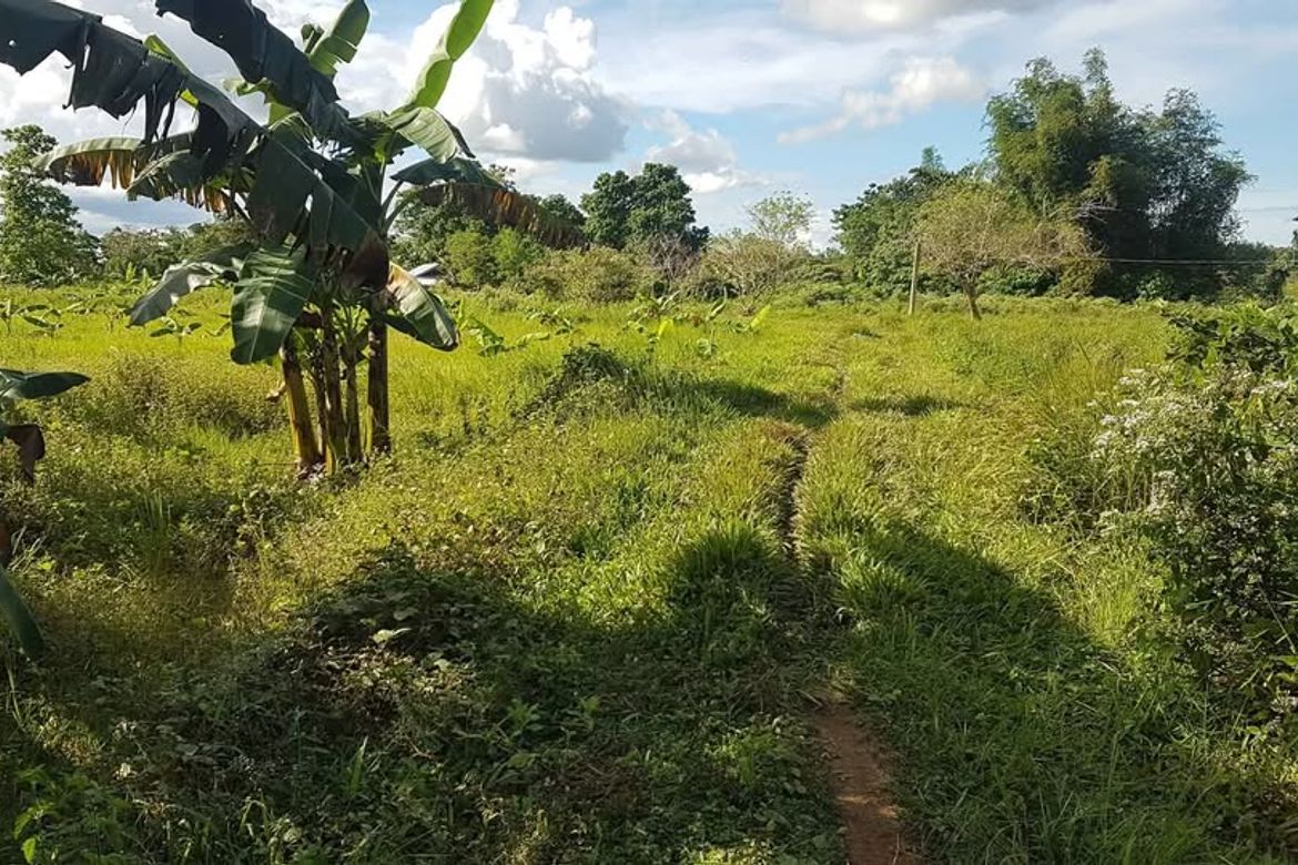 Land for Sale in Catagda-An, Pilar, Bohol – photo 5