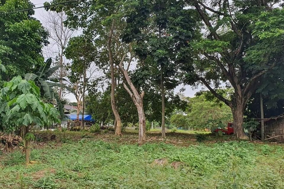 Land for Sale in Catalunan Grande, Davao City, Davao del Sur