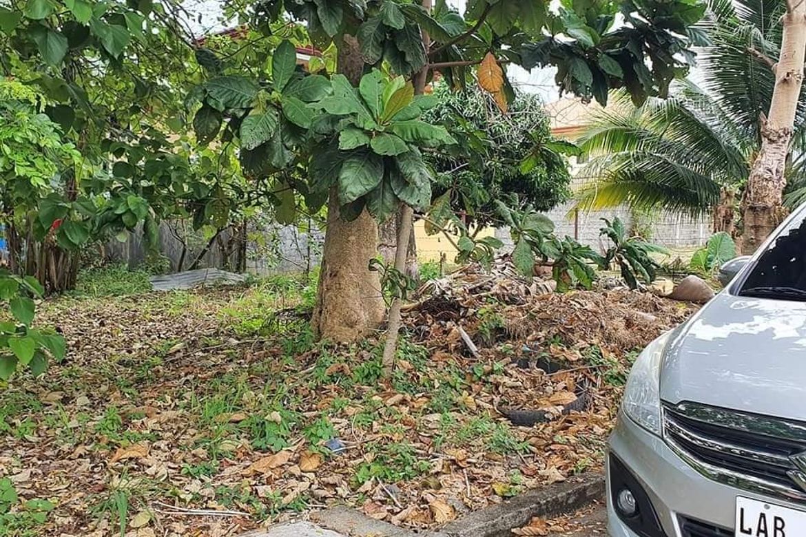 Land for Sale in Catalunan Grande, Davao City, Davao del Sur – photo 4
