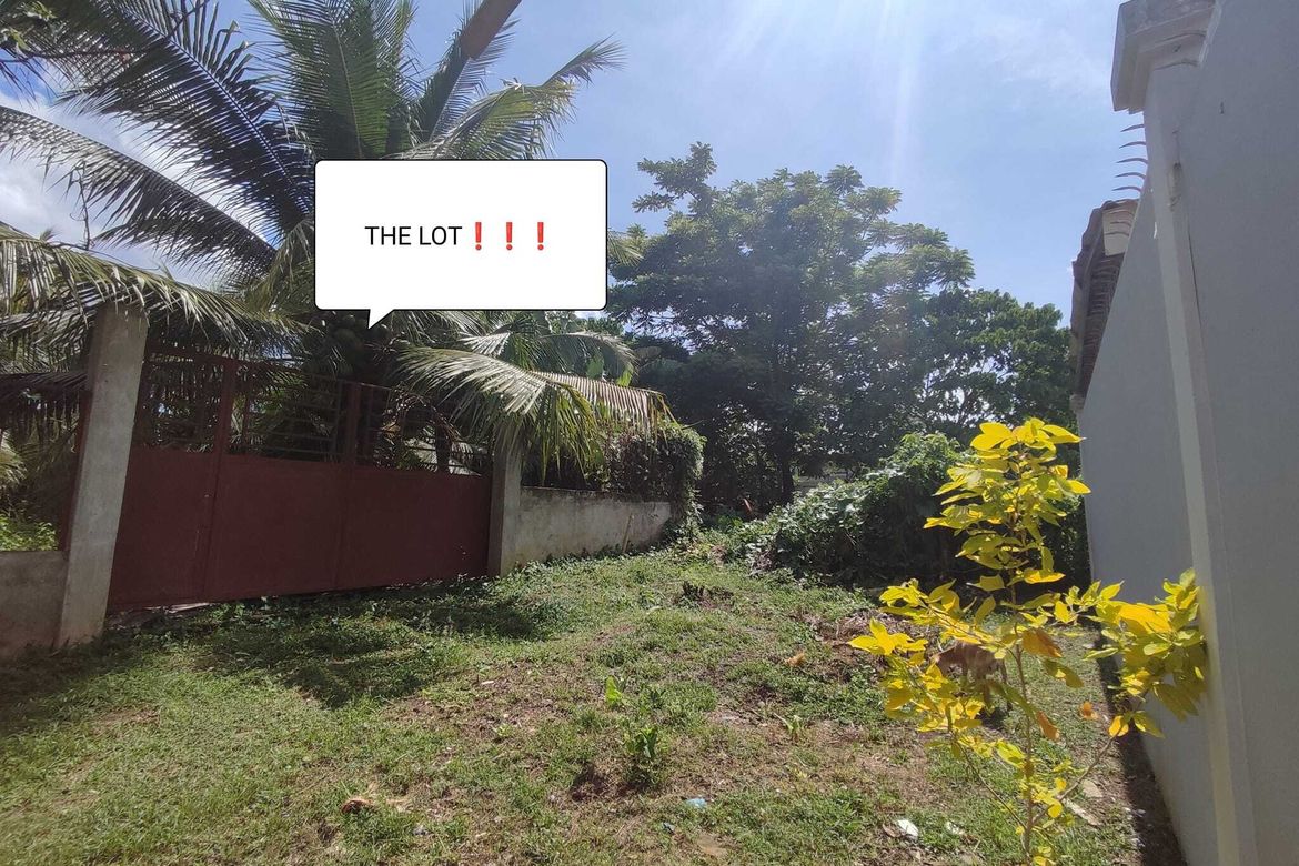 Land for Sale in Catalunan Grande, Davao City, Davao del Sur