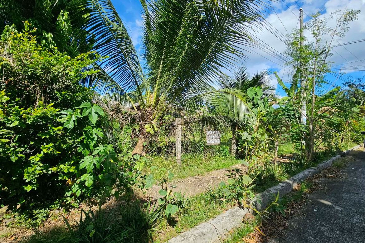 Land for Sale in Catalunan Grande, Davao City, Davao del Sur