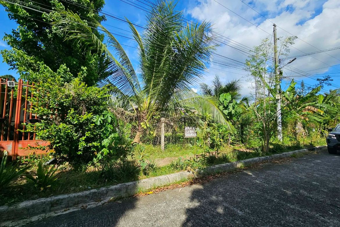 Land for Sale in Catalunan Grande, Davao City, Davao del Sur – photo 3