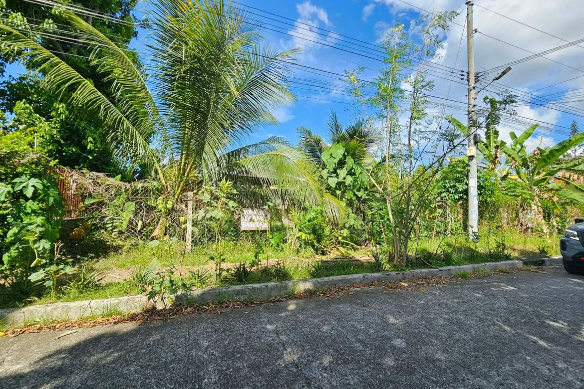 Land for Sale in Catalunan Grande, Davao City, Davao del Sur – photo 4