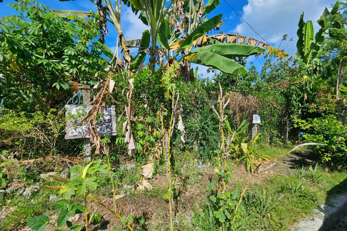 Land for Sale in Catalunan Grande, Davao City, Davao del Sur – photo 8