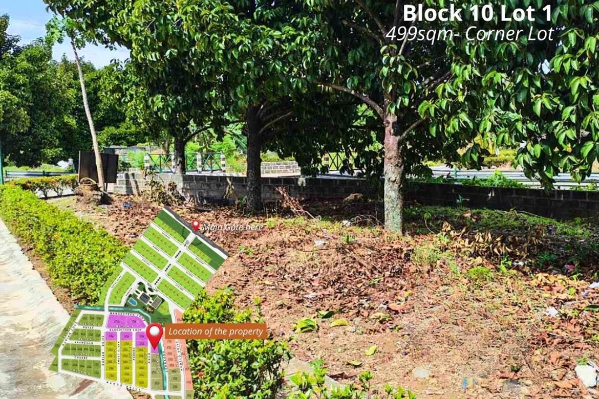 Land for Sale in Catalunan Pequeño, Davao City, Davao del Sur