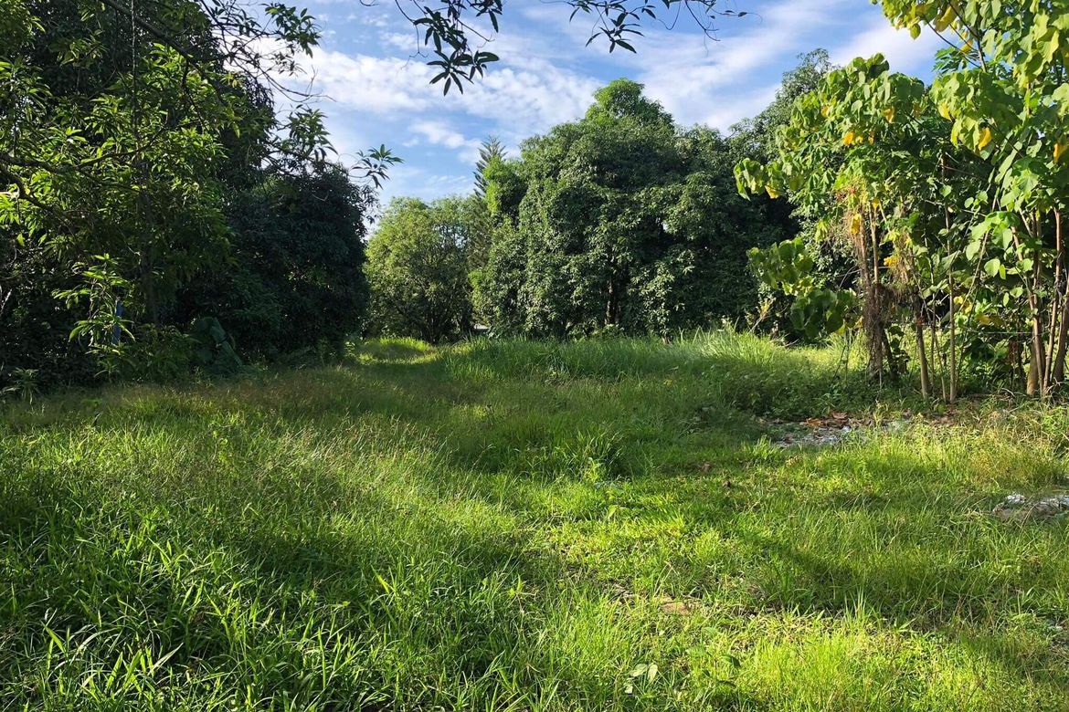 Land for Sale in Catalunan Pequeño, Davao City, Davao del Sur