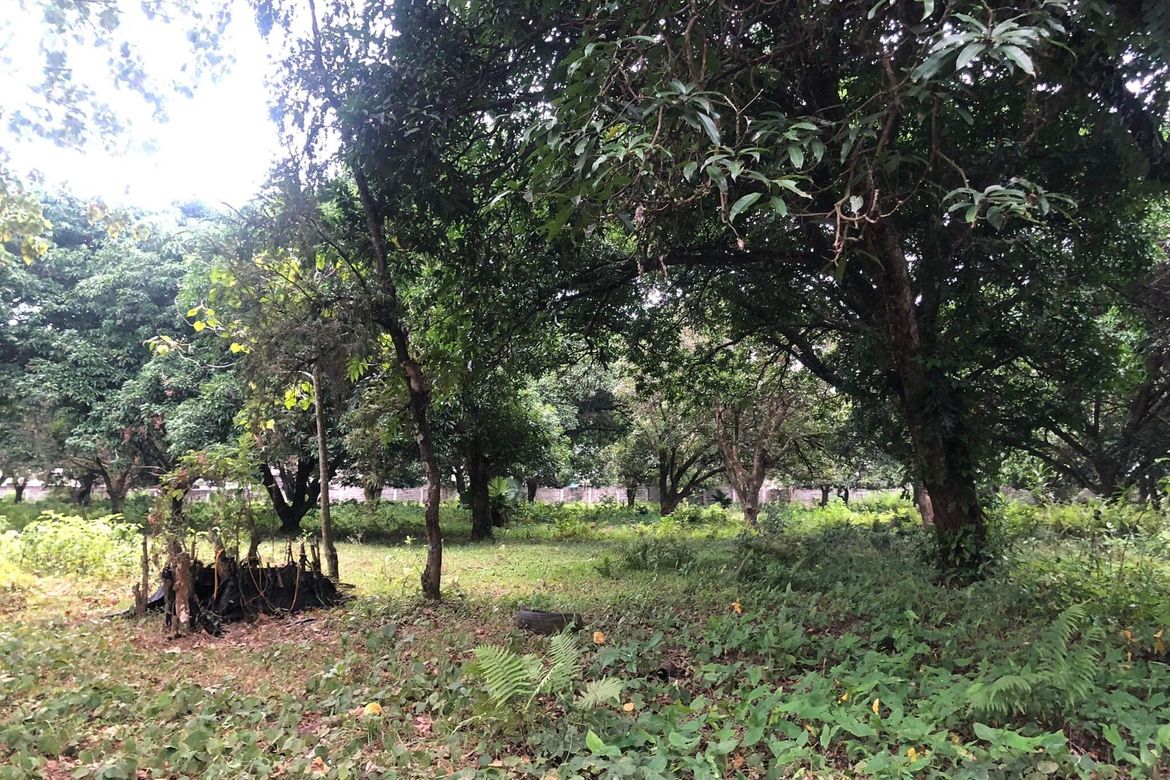 Land for Sale in Catalunan Pequeño, Davao City, Davao del Sur – photo 2