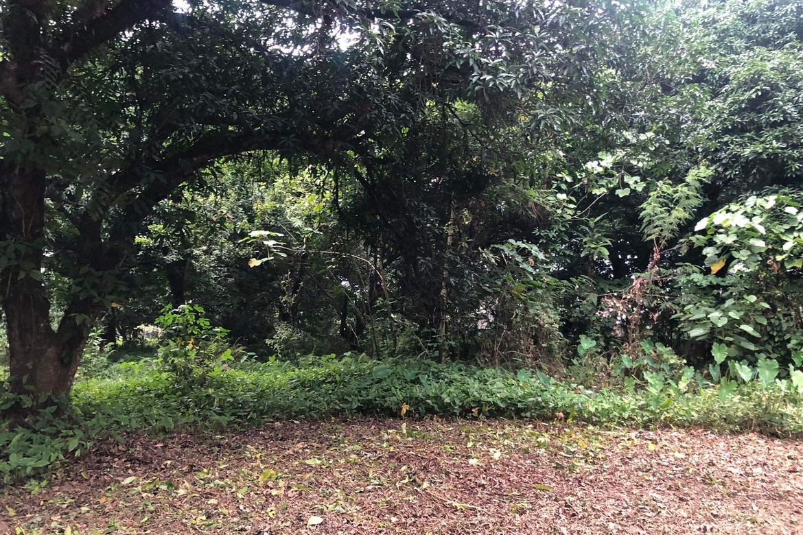 Land for Sale in Catalunan Pequeño, Davao City, Davao del Sur – photo 3