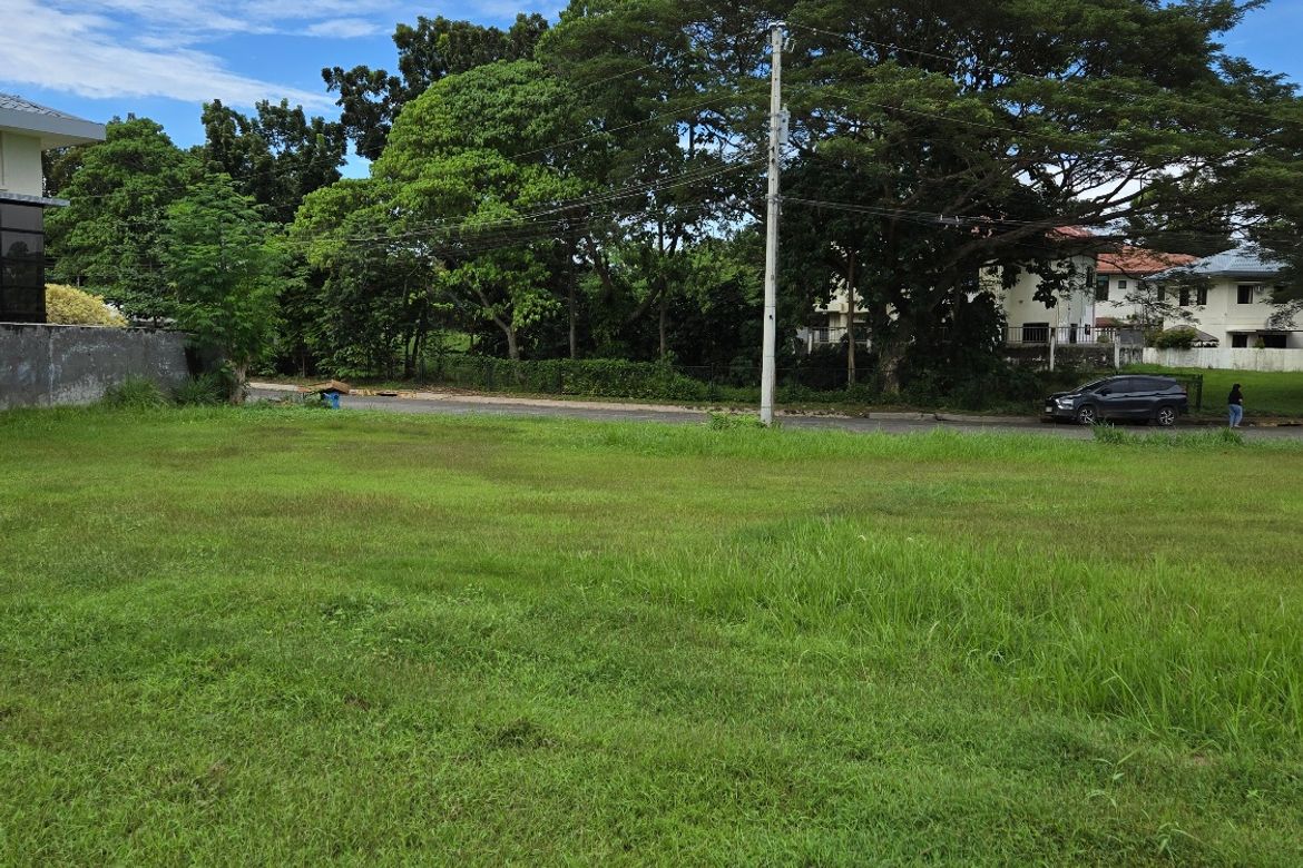 Land for Sale in Catalunan Pequeño, Davao City, Davao del Sur – photo 3