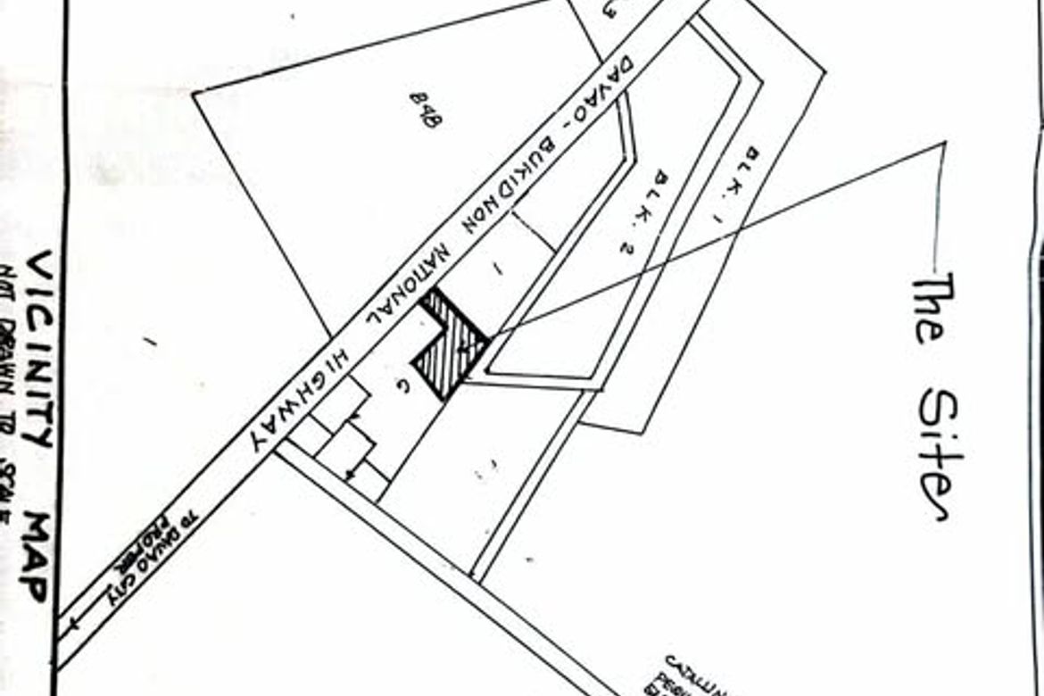 Land for Sale in Catalunan Pequeño, Davao City, Davao del Sur – photo 3