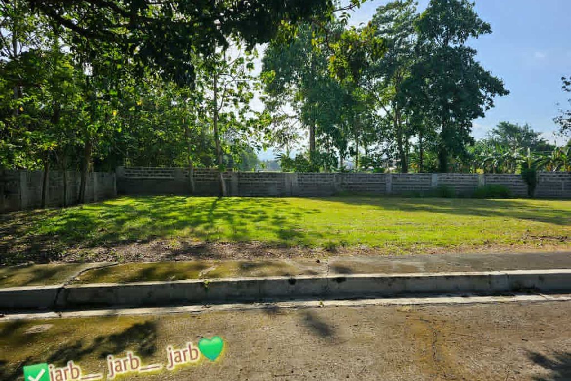 Land for Sale in Catalunan Pequeño, Davao City, Davao del Sur