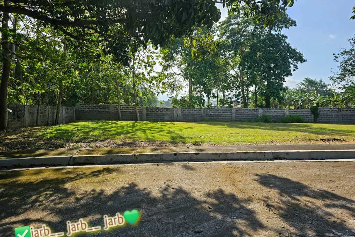 Land for Sale in Catalunan Pequeño, Davao City, Davao del Sur – photo 3