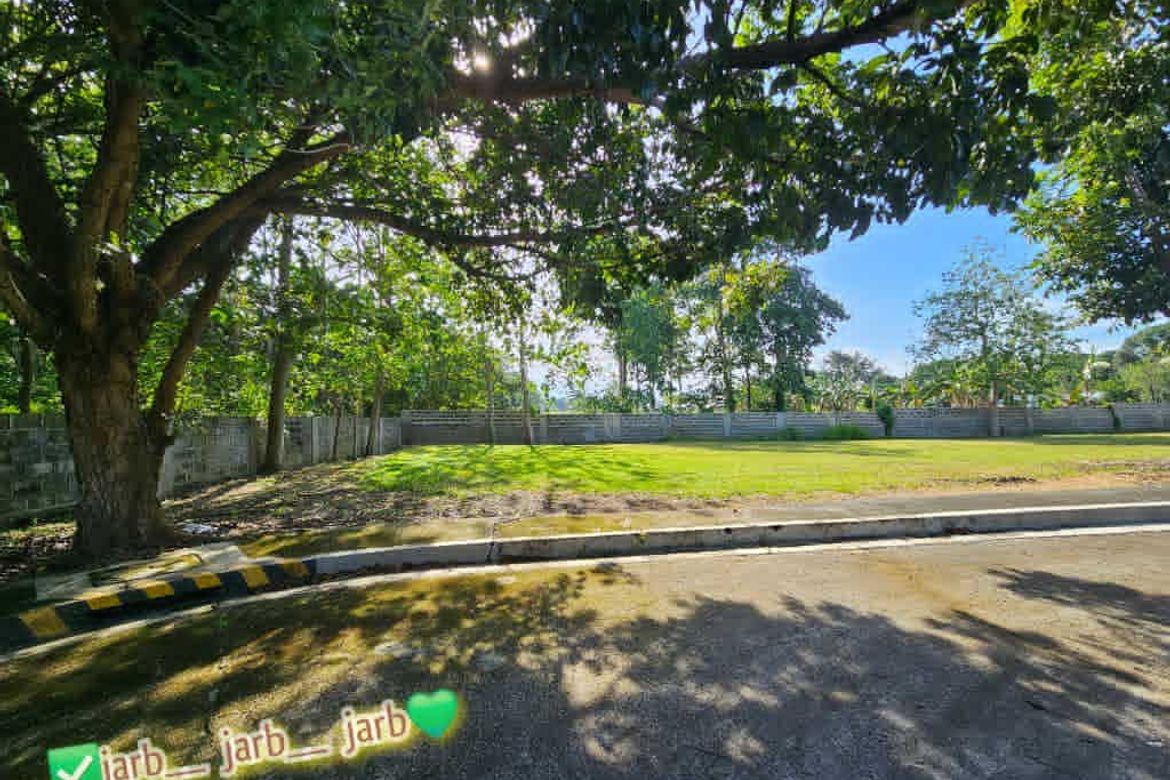 Land for Sale in Catalunan Pequeño, Davao City, Davao del Sur – photo 6